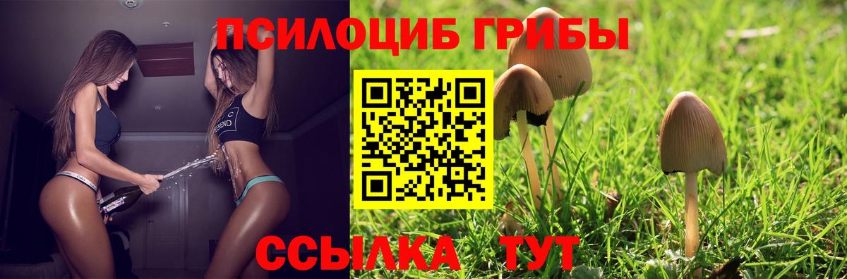 Псилоцибиновые грибы прущие грибы  наркошоп  Петрозаводск  Вход с VPN 